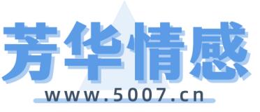 深圳蜘蛛网公司